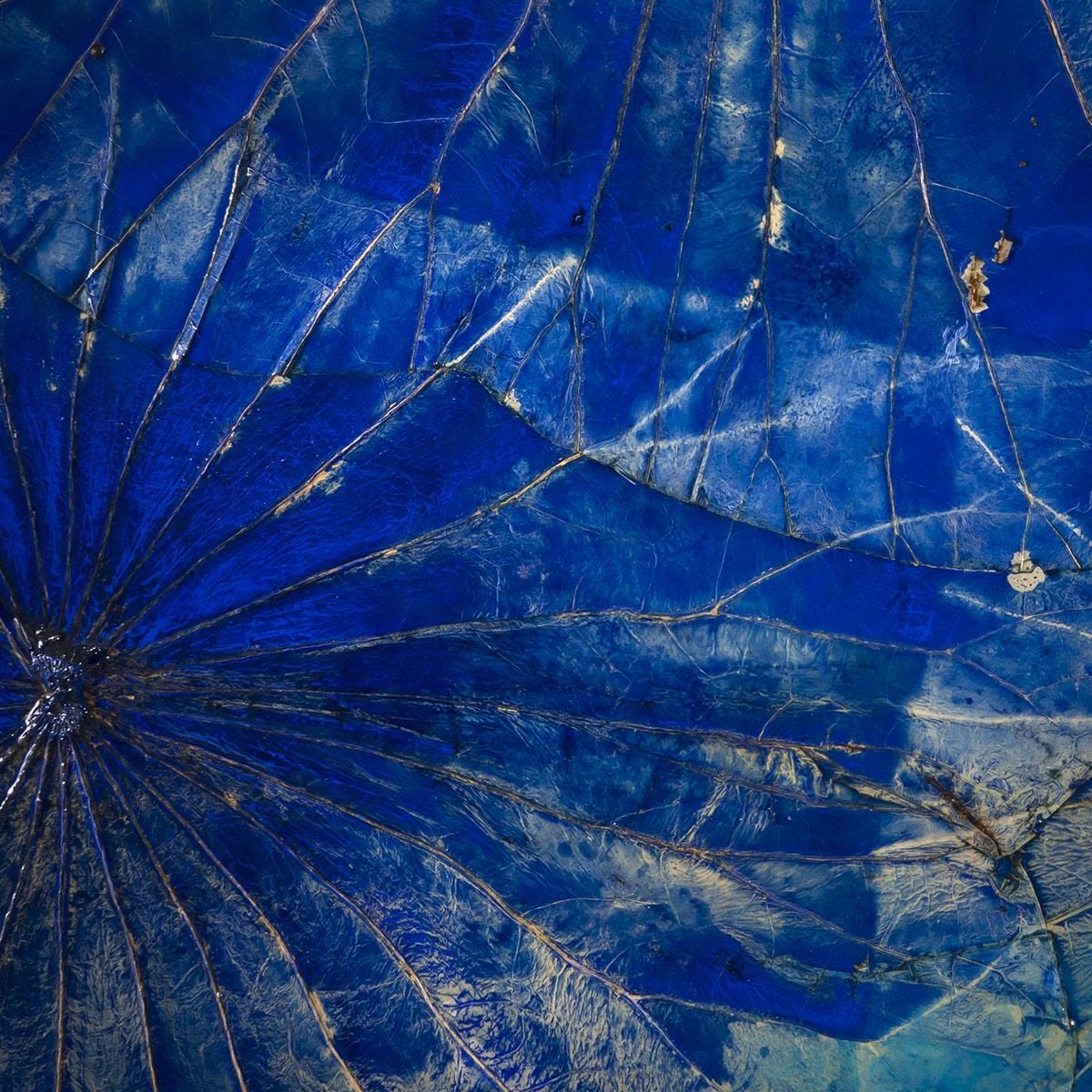 2-Piece Square Abstract Framed Wall Artwork Set Blue 120x60cm