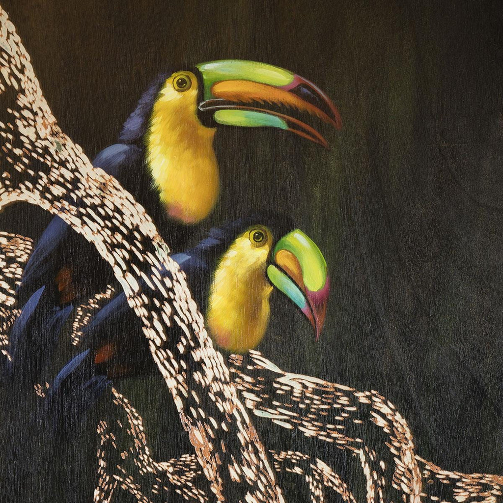 Toucan Bird Framed Wall Art - Black