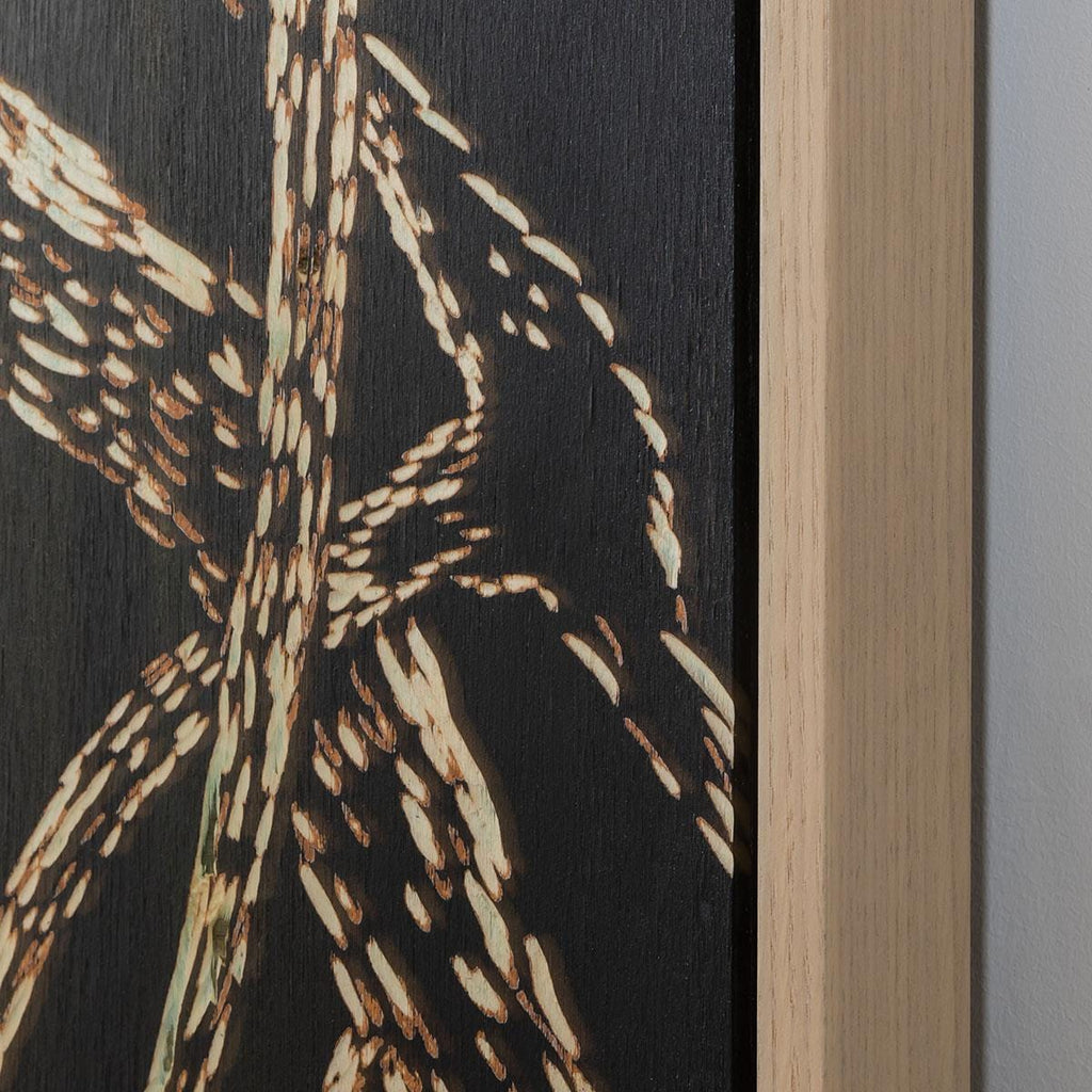 Toucan Bird Framed Wall Art - Black