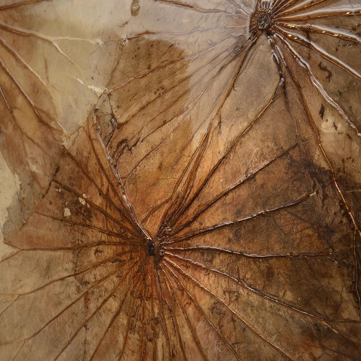 Square Lotus Framed Wall Artwork Gold & Brown 50x50cm