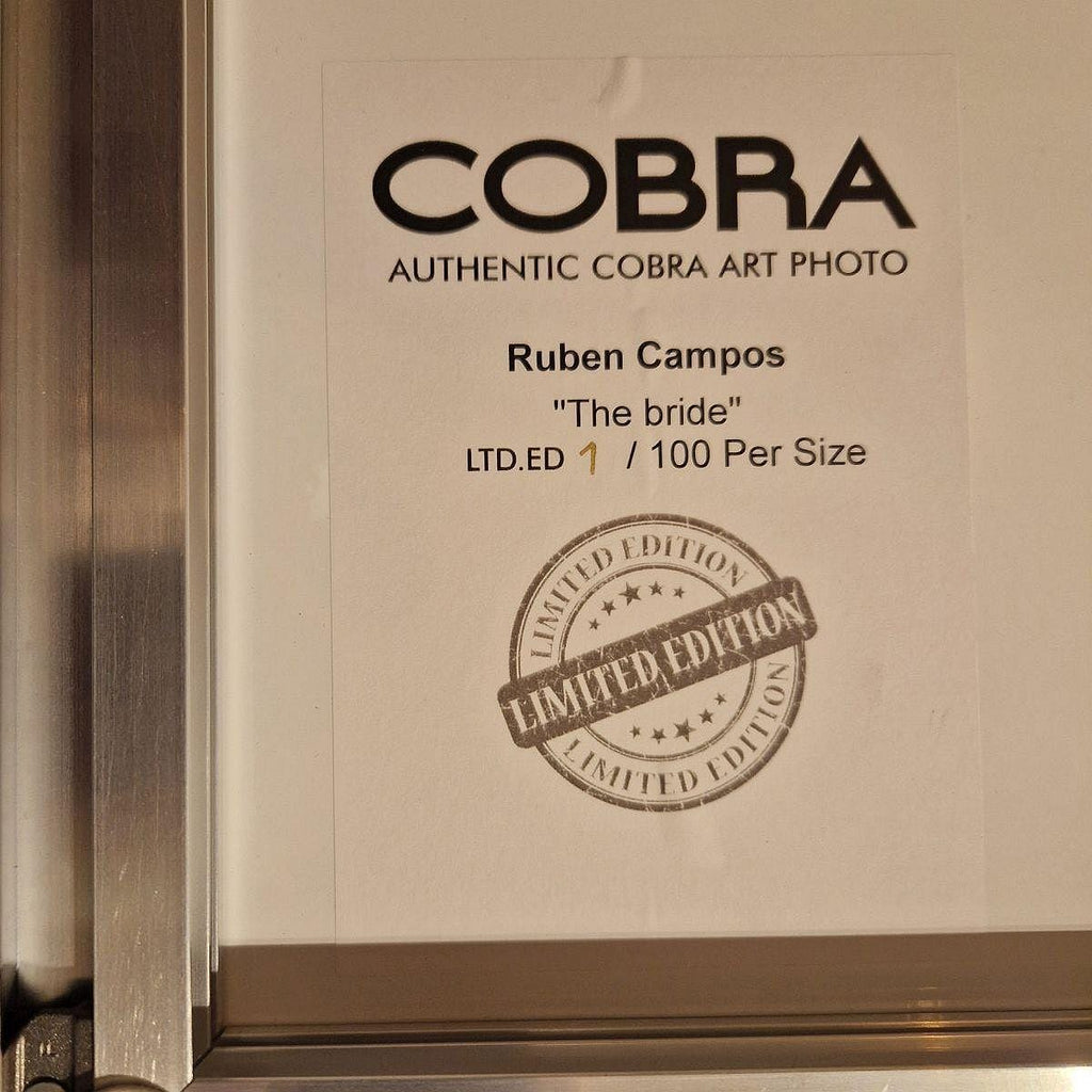 Stunning Large photographic 1000 x 1500 Acrylic Art The Bride 9112