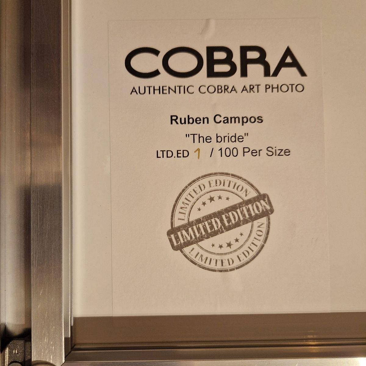 Stunning Large photographic 1000 x 1500 Acrylic Art The Bride 9112