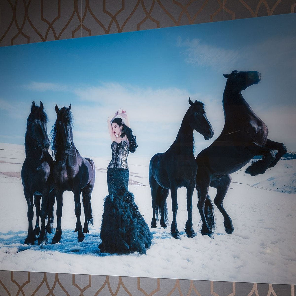 Stunning Large photographic 800 x 1200 Acrylic Art Snow White GN7866