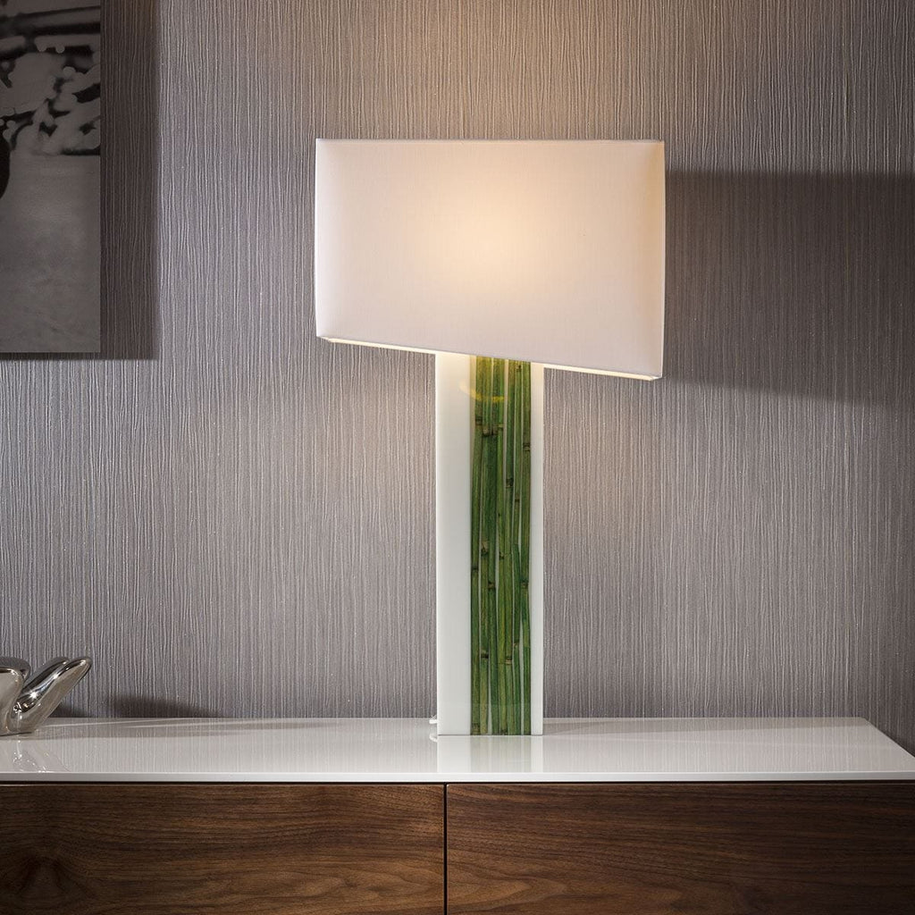 Stunning + Unique Acrylic / Bamboo table lamp/light white shade Guana