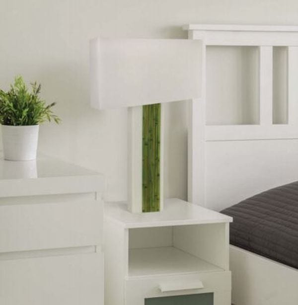 Stunning + Unique Acrylic / Bamboo table lamp/light white shade Guana